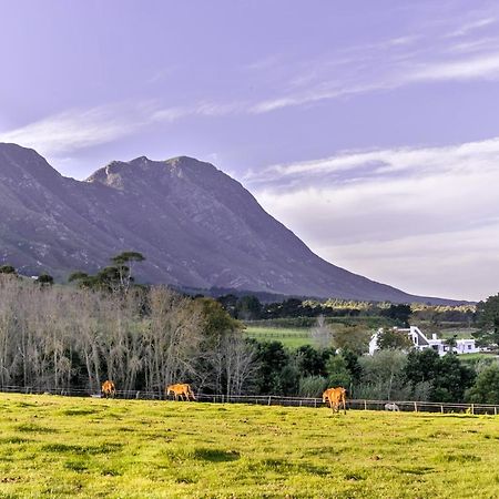 Hemel 'N Aarde Stud Hotell Hermanus Exteriör bild