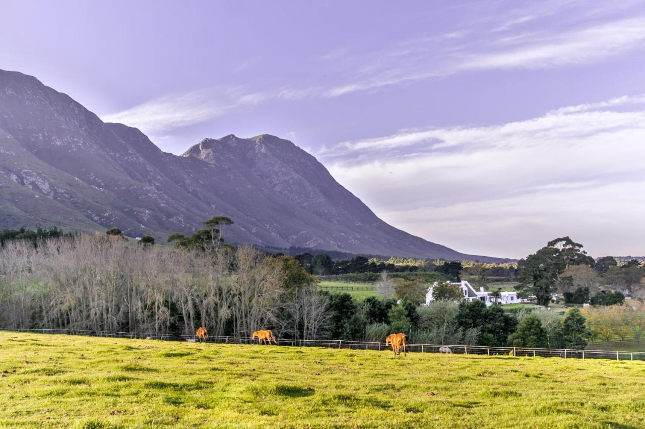 Hemel 'N Aarde Stud Hotell Hermanus Exteriör bild