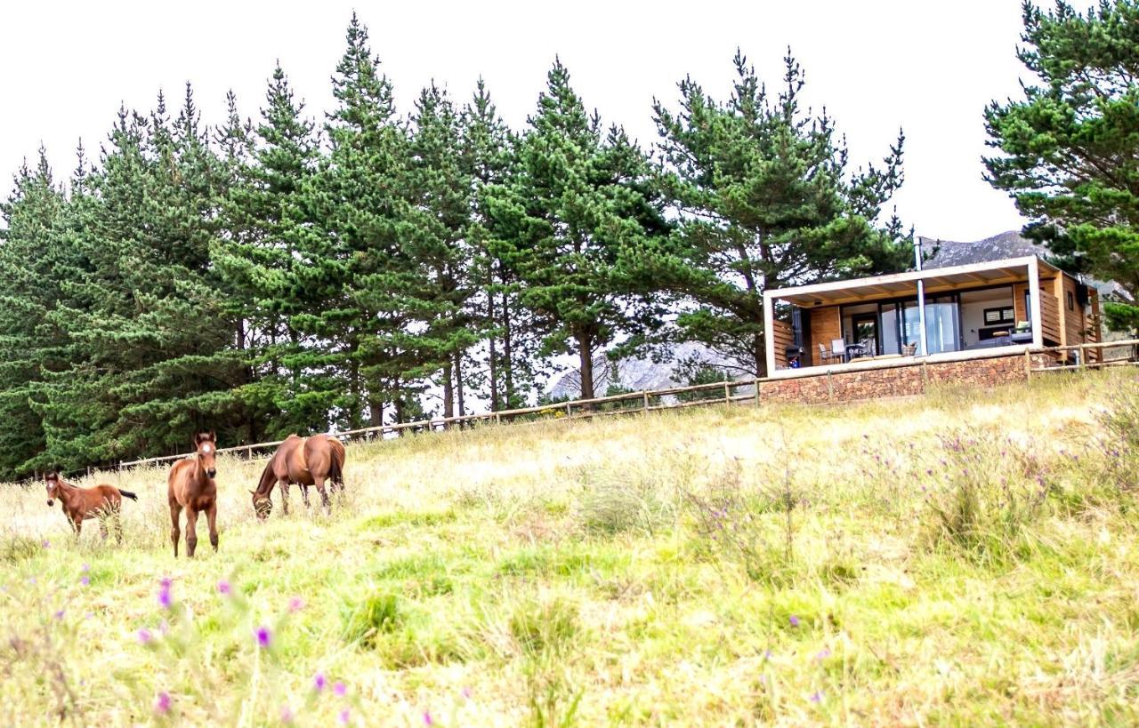 Hemel 'N Aarde Stud Hotell Hermanus Exteriör bild